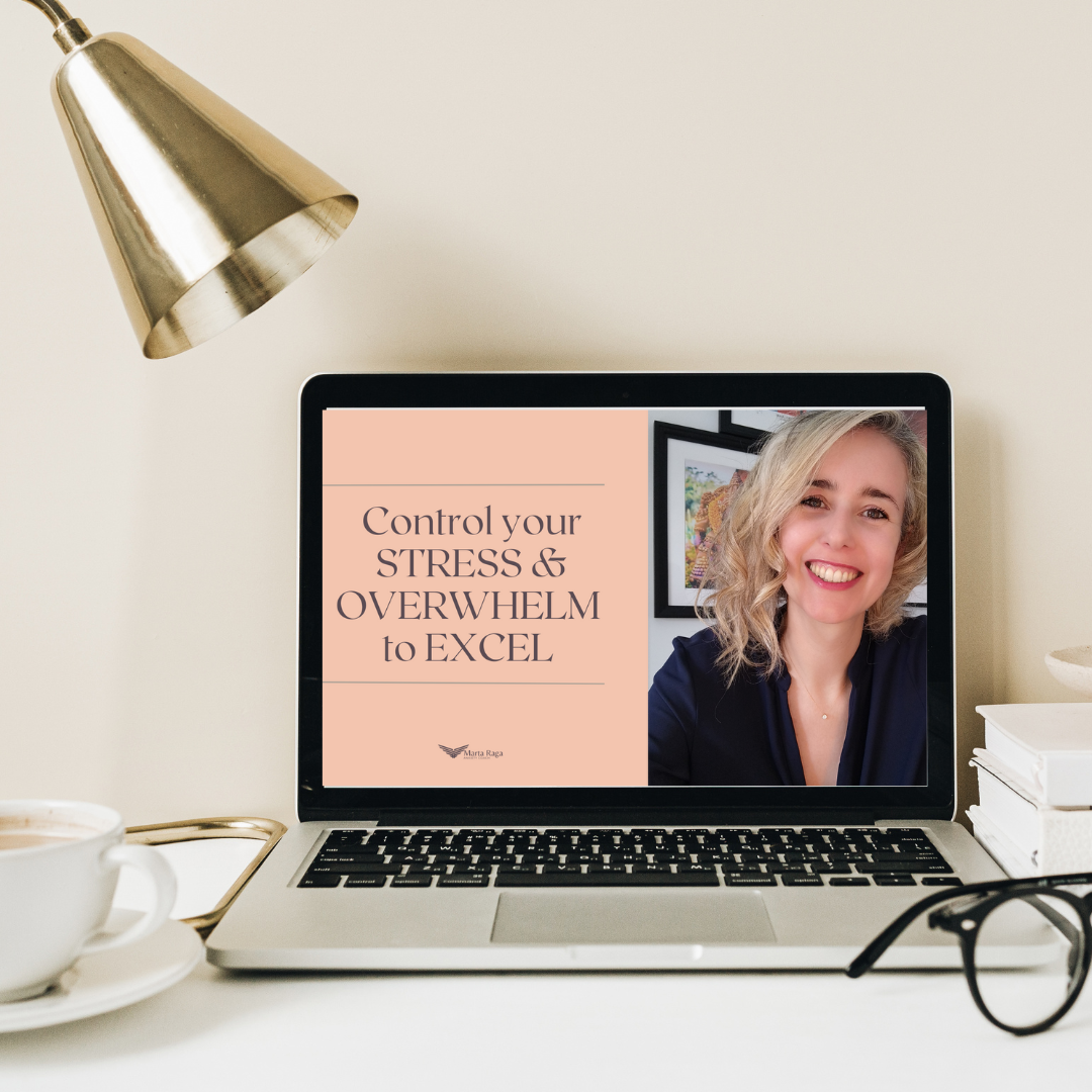 EXCEL FOTO WEB (1) control your stress & overwhelm to Excel in yoru career